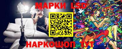 мдпв Камышлов