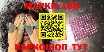 мдпв Камышлов
