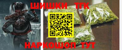 мдпв Камышлов