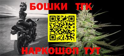 мдпв Камышлов